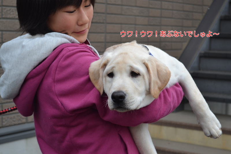 f:id:reeyan:20121123194406j:image f:id:reeyan:20121123194406j:image
