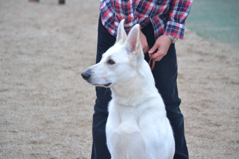 f:id:reeyan:20121123194448j:image f:id:reeyan:20121123194448j:image
