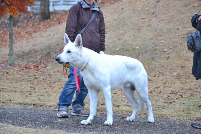 f:id:reeyan:20121123203439j:image f:id:reeyan:20121123203439j:image
