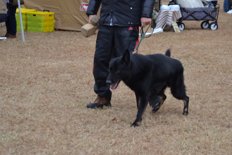 f:id:reeyan:20121202205828j:image f:id:reeyan:20121202205828j:image