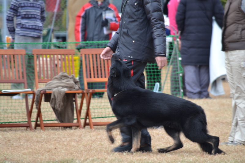f:id:reeyan:20121202210125j:image f:id:reeyan:20121202210125j:image