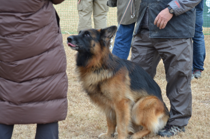 f:id:reeyan:20121202210422j:image f:id:reeyan:20121202210422j:image