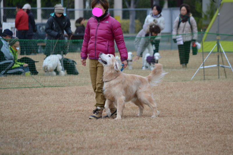 f:id:reeyan:20121202211540j:image f:id:reeyan:20121202211540j:image