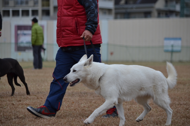 f:id:reeyan:20121202212857j:image f:id:reeyan:20121202212857j:image
