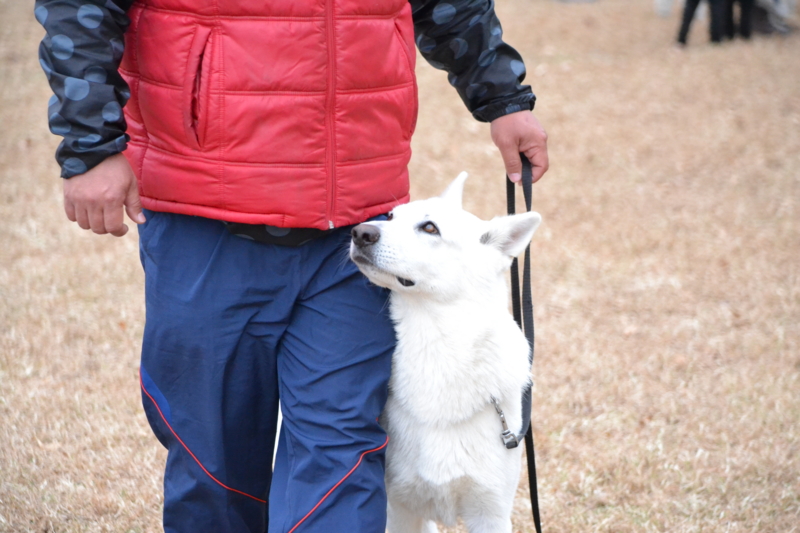 f:id:reeyan:20121202231553j:image f:id:reeyan:20121202231553j:image