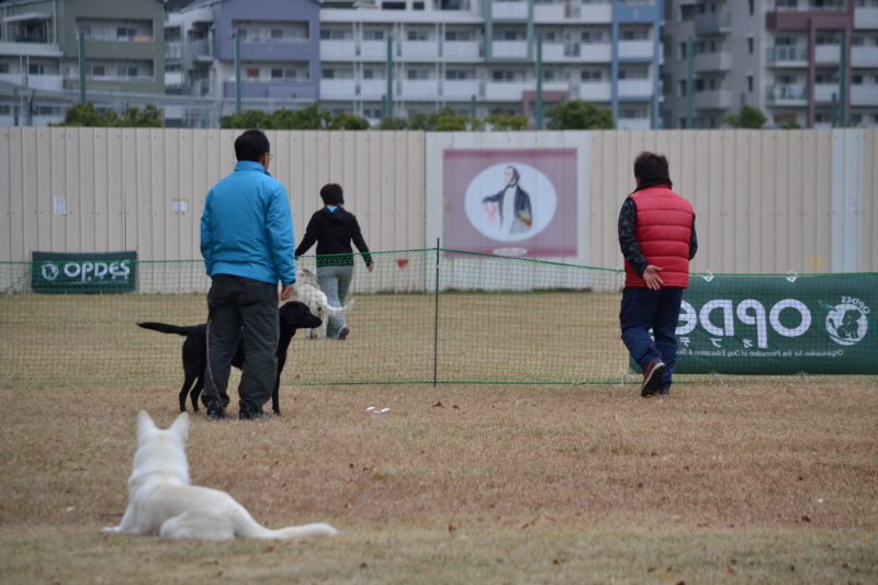 f:id:reeyan:20121202231809j:image f:id:reeyan:20121202231809j:image