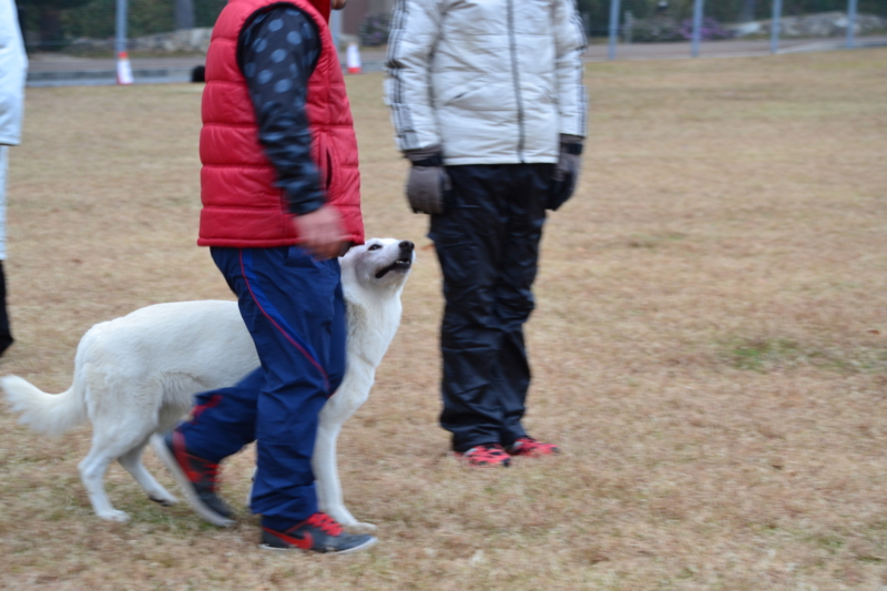 f:id:reeyan:20121202232426j:image f:id:reeyan:20121202232426j:image