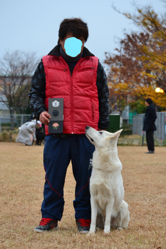 f:id:reeyan:20121202232702j:image f:id:reeyan:20121202232702j:image