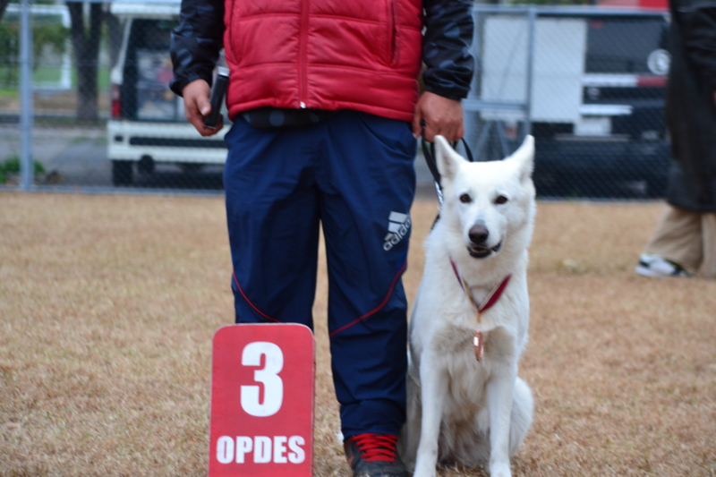 f:id:reeyan:20121202232847j:image f:id:reeyan:20121202232847j:image