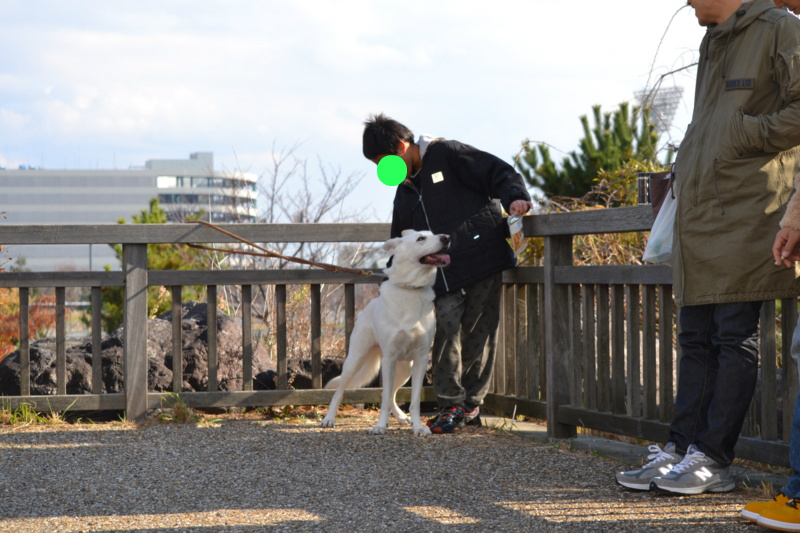 f:id:reeyan:20121210195217j:image