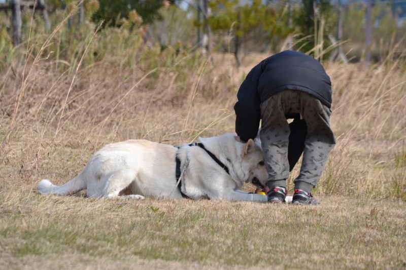 f:id:reeyan:20121210195329j:image