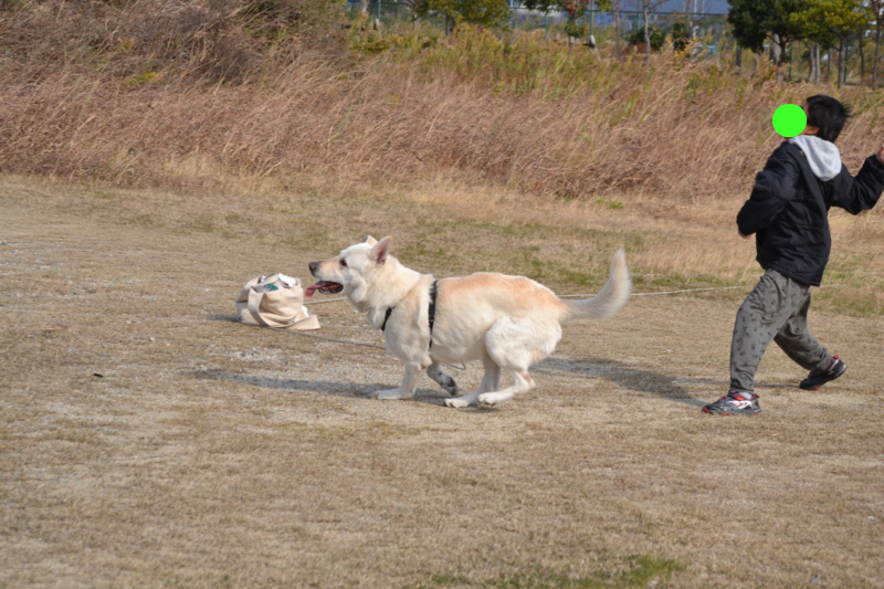 f:id:reeyan:20121210195422j:image