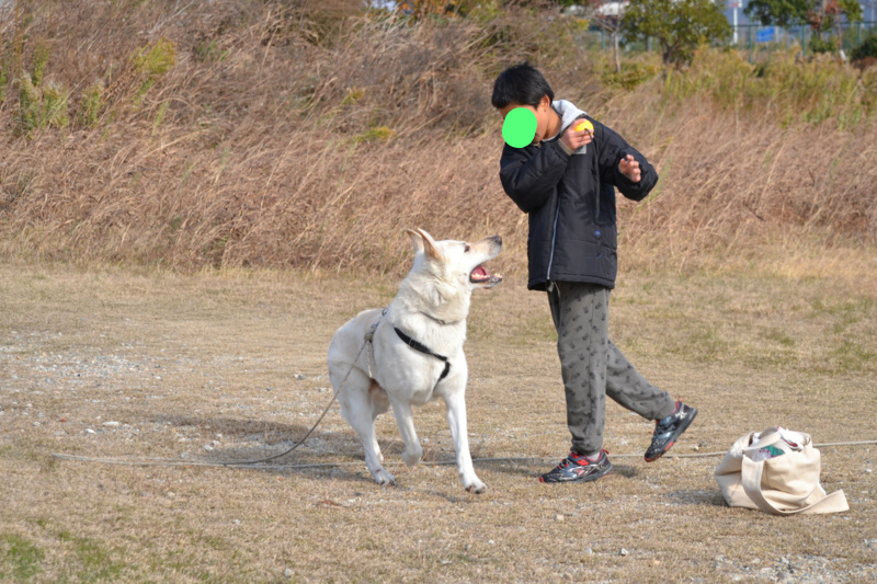 f:id:reeyan:20121210195441j:image