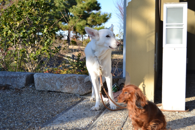 f:id:reeyan:20121210200141j:image