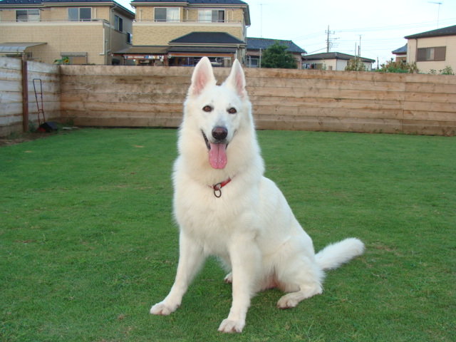 f:id:reeyan:20121230141058j:image f:id:reeyan:20121230141058j:image