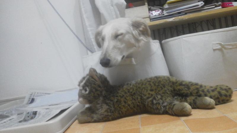 f:id:reeyan:20130118220904j:image f:id:reeyan:20130118220904j:image