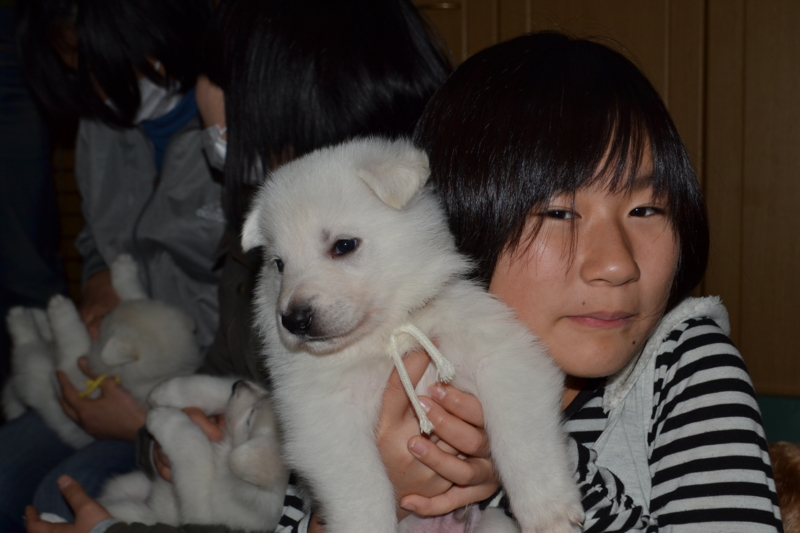 f:id:reeyan:20130128072742j:image