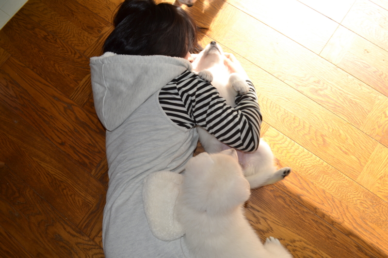 f:id:reeyan:20130203194845j:image f:id:reeyan:20130203194845j:image