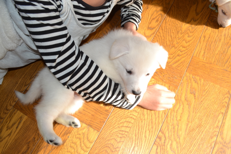 f:id:reeyan:20130203194846j:image f:id:reeyan:20130203194846j:image
