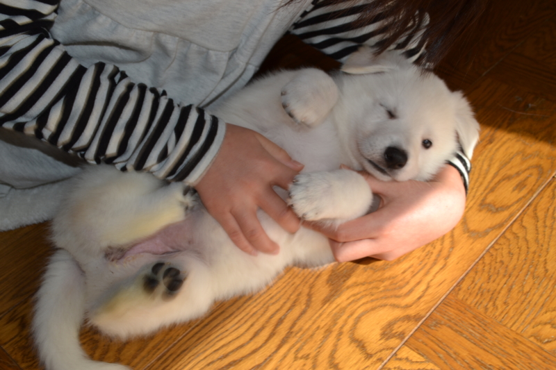 f:id:reeyan:20130203194848j:image f:id:reeyan:20130203194848j:image