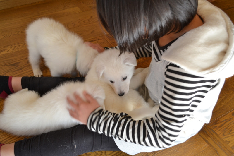 f:id:reeyan:20130203194849j:image f:id:reeyan:20130203194849j:image