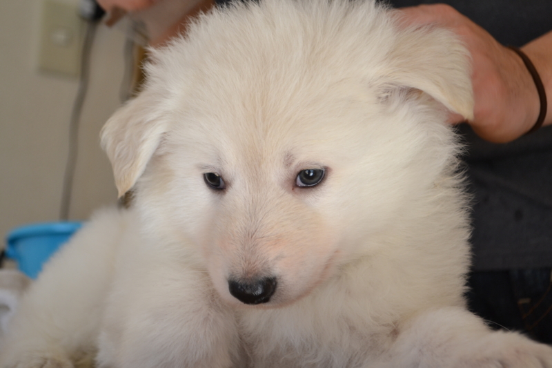 f:id:reeyan:20130203194855j:image f:id:reeyan:20130203194855j:image