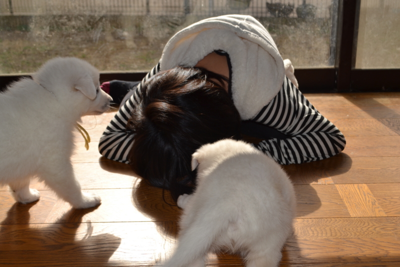 f:id:reeyan:20130203194902j:image f:id:reeyan:20130203194902j:image