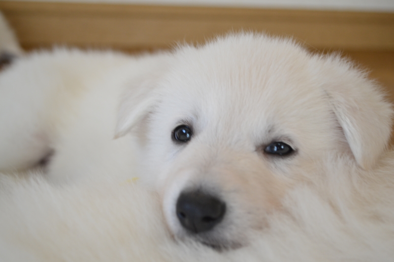 f:id:reeyan:20130203194912j:image f:id:reeyan:20130203194912j:image