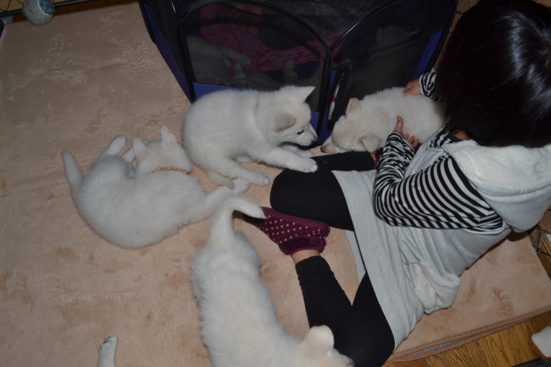 f:id:reeyan:20130211075850j:image f:id:reeyan:20130211075850j:image