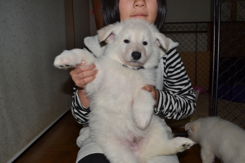 f:id:reeyan:20130211075853j:image f:id:reeyan:20130211075853j:image