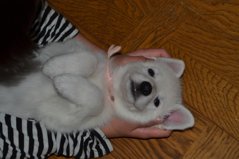 f:id:reeyan:20130211080653j:image f:id:reeyan:20130211080653j:image