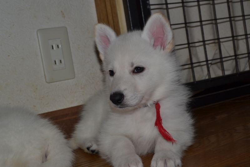 f:id:reeyan:20130211080711j:image f:id:reeyan:20130211080711j:image