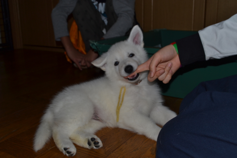 f:id:reeyan:20130211080916j:image f:id:reeyan:20130211080916j:image