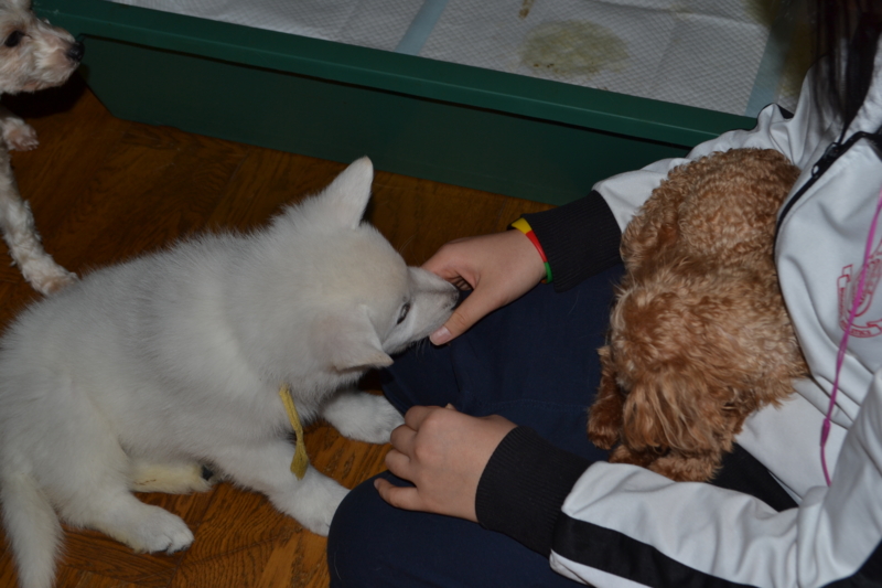 f:id:reeyan:20130211080934j:image f:id:reeyan:20130211080934j:image