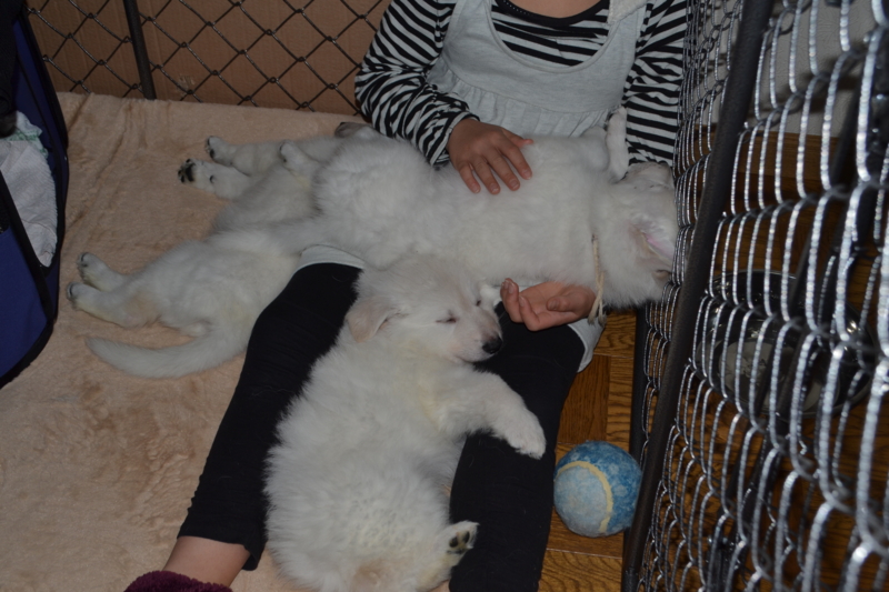f:id:reeyan:20130211081012j:image f:id:reeyan:20130211081012j:image