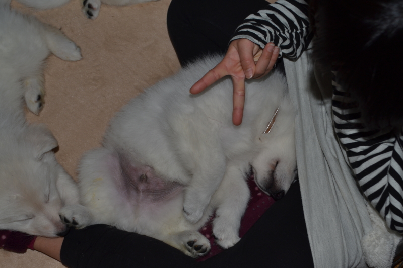 f:id:reeyan:20130211081030j:image f:id:reeyan:20130211081030j:image