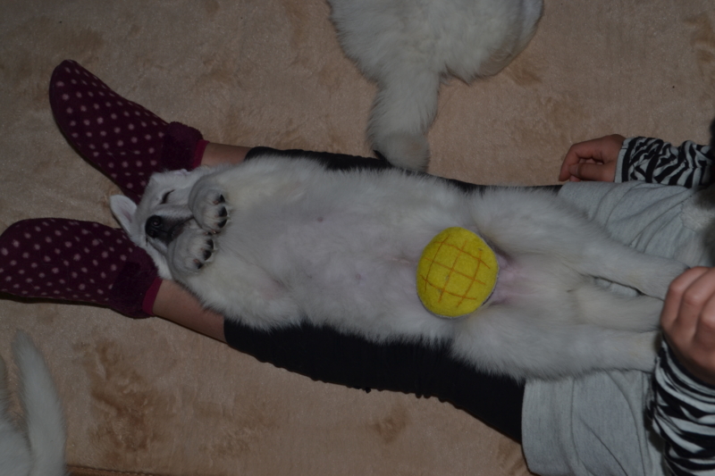 f:id:reeyan:20130211081235j:image f:id:reeyan:20130211081235j:image