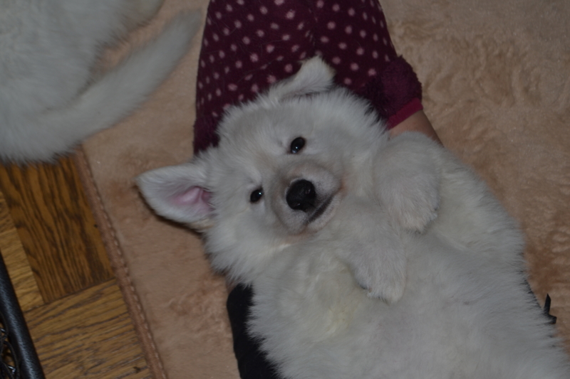 f:id:reeyan:20130211081253j:image f:id:reeyan:20130211081253j:image