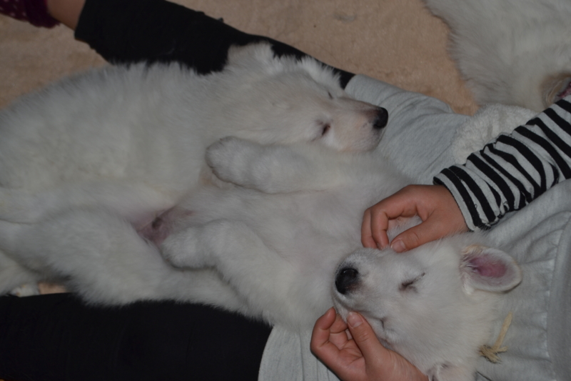 f:id:reeyan:20130211081330j:image f:id:reeyan:20130211081330j:image