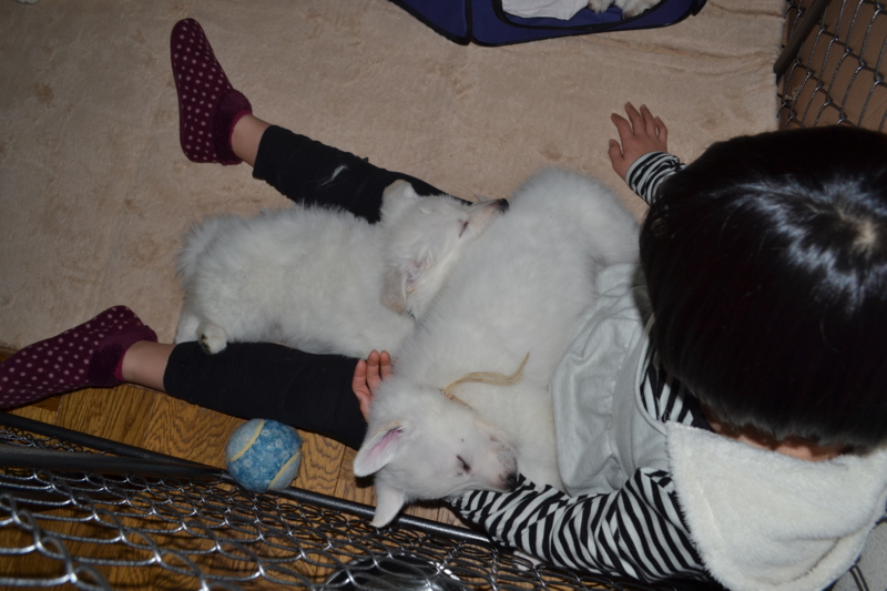 f:id:reeyan:20130211081348j:image f:id:reeyan:20130211081348j:image