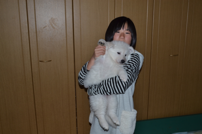 f:id:reeyan:20130211082236j:image f:id:reeyan:20130211082236j:image