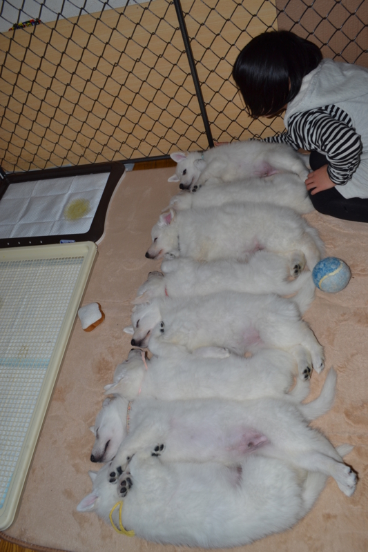 f:id:reeyan:20130211082313j:image f:id:reeyan:20130211082313j:image
