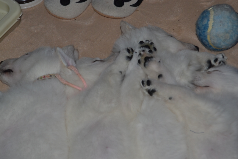 f:id:reeyan:20130211082333j:image f:id:reeyan:20130211082333j:image