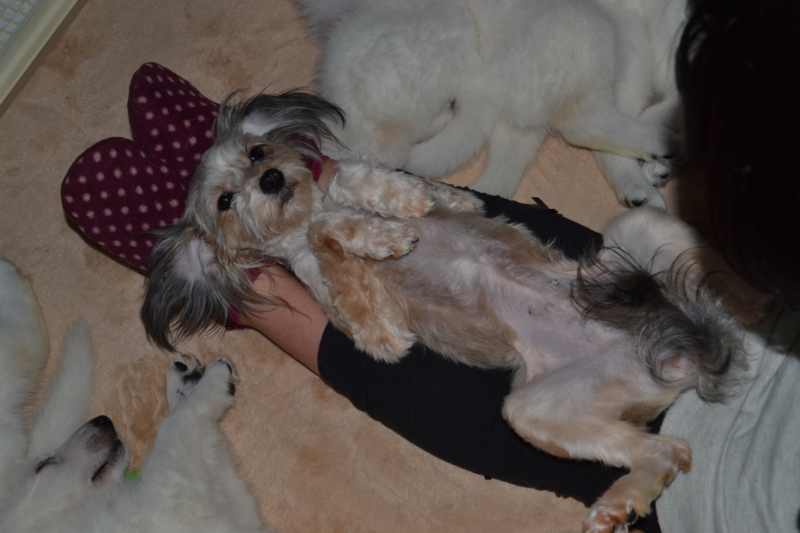 f:id:reeyan:20130211082351j:image f:id:reeyan:20130211082351j:image