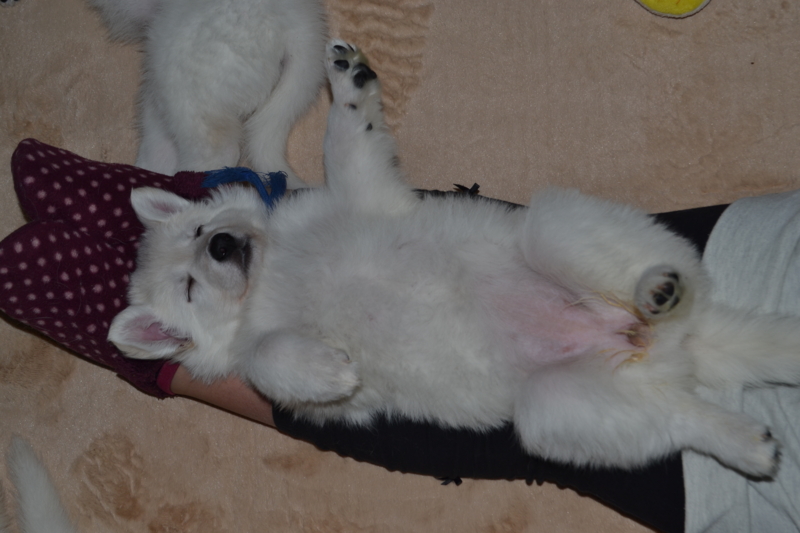 f:id:reeyan:20130211082504j:image f:id:reeyan:20130211082504j:image