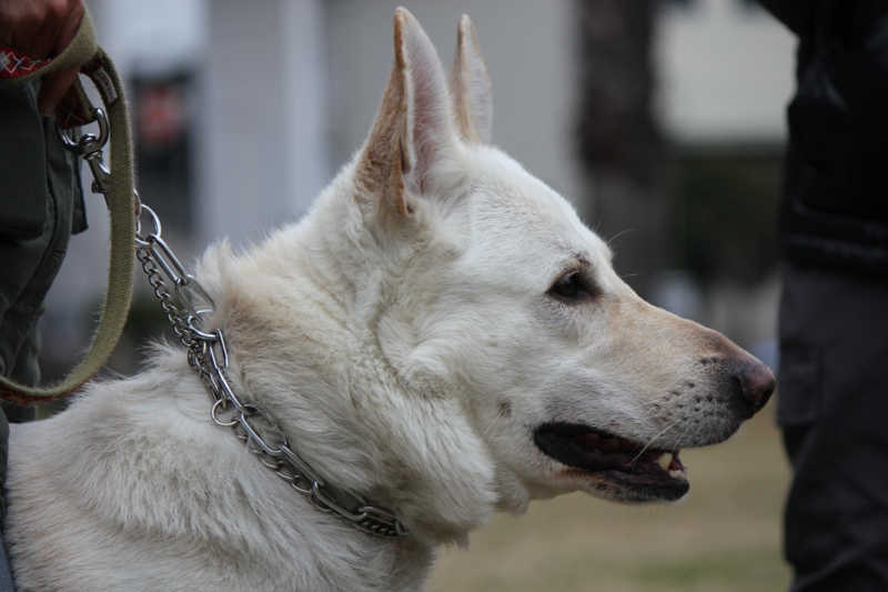 f:id:reeyan:20130225084113j:image