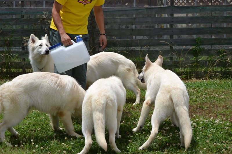 f:id:reeyan:20130617111048j:image f:id:reeyan:20130617111048j:image