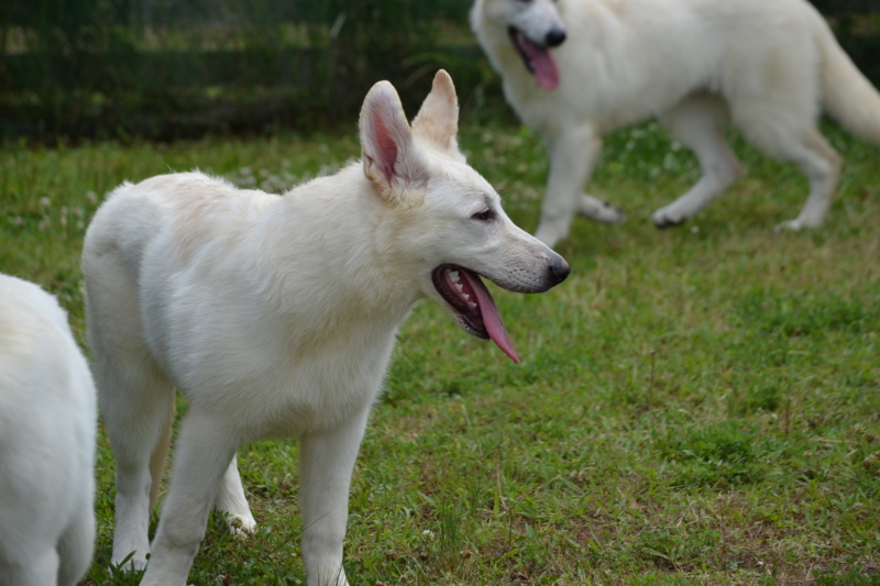 f:id:reeyan:20130617111421j:image f:id:reeyan:20130617111421j:image