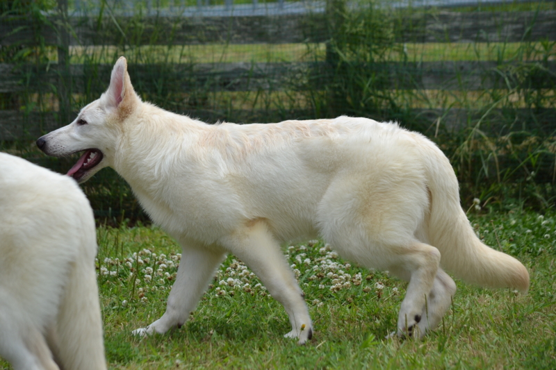 f:id:reeyan:20130617111431j:image