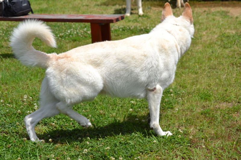 f:id:reeyan:20130617112200j:image f:id:reeyan:20130617112200j:image